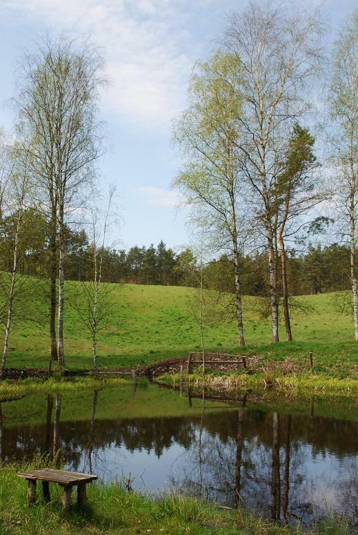 Willa Pod kogutkiem Kruklanki Zewnętrze zdjęcie